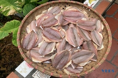 Cá khô và cá khô một nắng