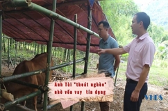 Thoát nghèo nhờ vốn vay tín dụng