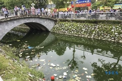 Ô nhiễm ở hồ điều hòa