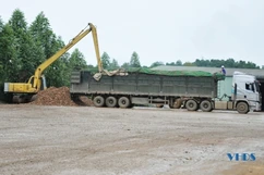 Nhà máy chế biến tinh bột sắn Phúc Thịnh phấn đấu giá trị xuất khẩu đạt 15 triệu USD