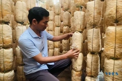 Chủ tịch hội nông dân làm kinh tế giỏi
