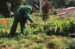 Đồn Biên phòng Cửa khẩu Quốc tế Na Mèo tích cực tăng gia sản xuất