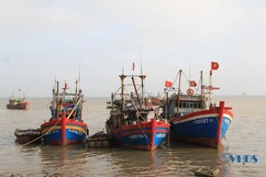 Hậu Lộc phát huy tiềm năng, thế mạnh xây dựng sản phẩm OCOP