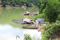 Phát triển nghề nuôi cá lồng ở miền núi xứ Thanh
