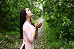 Đêm nay hoa bưởi dậy thì...