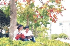 Nắng sân trường