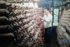 Hội viên Hội nông dân phường Thiệu Khánh làm kinh tế giỏi