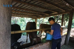 Đảng viên người dân tộc thiểu số tham gia xây dựng nông thôn mới