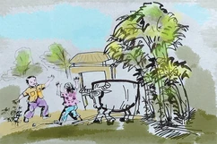 Thương nhớ rặng tre !
