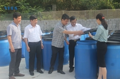 Người biến vỏ trái cây thành nước tẩy rửa