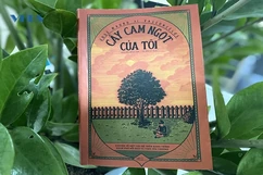 “Cây cam ngọt của tôi”: Hành trình bước qua nỗi đau và khám phá vị ngọt tình yêu thương