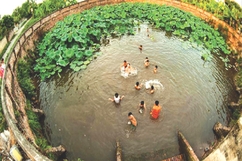 Cái ao làng