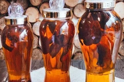 Cẩn trọng với nguy cơ ngộ độc nấm do chưa có thuốc điều trị đặc hiệu
