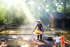 Nắng một giấc trưa