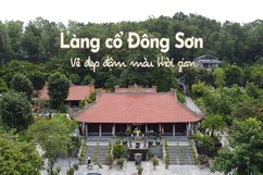 Làng cổ Đông Sơn - Vẻ đẹp đậm màu thời gian