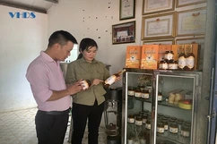 Xây dựng thương hiệu cho mật ong xứ Thanh