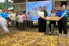 Khởi sắc vùng biên xã Bát Mọt