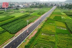 Trách nhiệm với cây cột điện