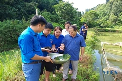 Bí thư đoàn trăn trở hỗ trợ đoàn viên khởi nghiệp