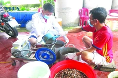 Hương vị đồng quê hấp dẫn: Cáy xay, rạm xay xã Quảng Phúc