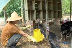 Vườn Quốc gia Bến En tích cực cứu hộ, chăm sóc và bảo tồn động vật hoang dã