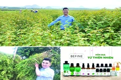 Đưa tinh dầu xứ Thanh vươn ra “biển lớn”