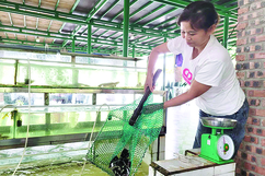 Chuyển đổi nghề, tạo sinh kế cho ngư dân