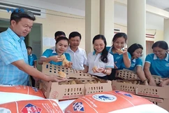 Ra mắt và trao con giống cho thành viên HTX chăn nuôi tổng hợp xã Vĩnh Yên