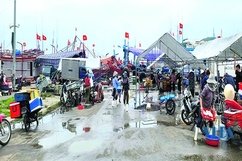 Mưu sinh ở Cảng cá Lạch Bạng