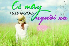 Cỏ may níu bước người xa