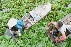 Nham Thôn, nét quê hồn làng