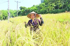 Để Mường Lát vươn lên thoát nghèo bền vững