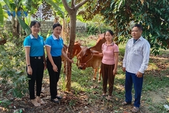 Thọ Xuân: Nhiều cách làm tăng thu nhập cho phụ nữ
