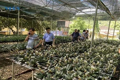 Nghiên cứu khoa học, góp phần bảo tồn đa dạng sinh học ở Khu bảo tồn thiên nhiên Xuân Liên