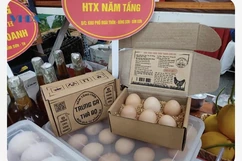 Chàng kỹ sư bỏ phố về quê gắn bó với gà “đẻ trứng vàng”