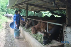 Bí thư chi đoàn dám nghĩ, dám làm