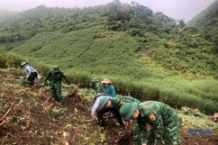 Nhà máy chế biến tinh bột sắn Phúc Thịnh vào vụ sản xuất
