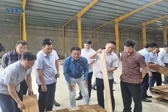 Lang Chánh đẩy nhanh tiến độ thực hiện Chương trình Mục tiêu quốc gia giảm nghèo bền vững