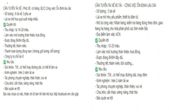 Cảnh báo lừa đảo tuyển dụng lái xe, phụ xe lương cao