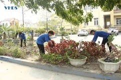 Để thành phố luôn sạch đẹp