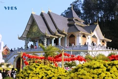 Thưởng ngoạn cảnh sắc ngôi chùa bên cửa biển Lạch Trường 