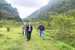 Từ thầy giáo đến ông chủ trang trại sinh thái