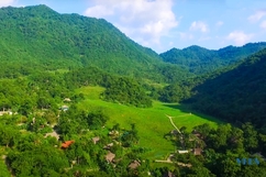 Ngát xanh bản Bút  