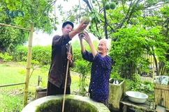 Sắc màu xứ Thanh qua truyền thông cộng đồng