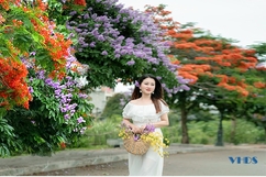Màu tháng 5: Sắc hoa - Mảnh hồn phố