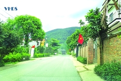 Kim Sơn giàu truyền thống văn hóa