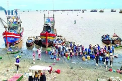Đội nắng mưu sinh ven bờ biển