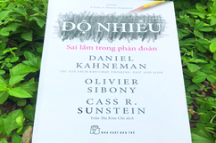 Độ nhiễu - Sai lầm trong phán đoán