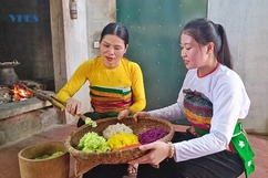 Phát triển giống lúa nếp đặc sản ở khu vực đồng bằng, miền núi thấp