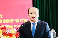 Xây dựng thương hiệu để gạo nếp xứ Thanh vươn xa